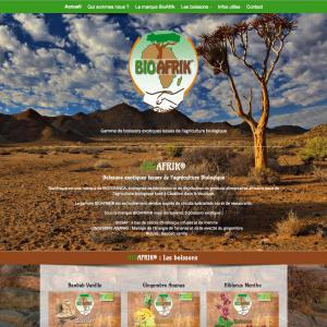 Création du site internet www.bioafrik.com